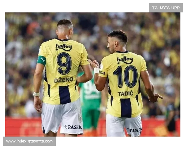 伊斯坦布尔阿里萨米扬球场：土超魔鬼主场的欧冠传奇